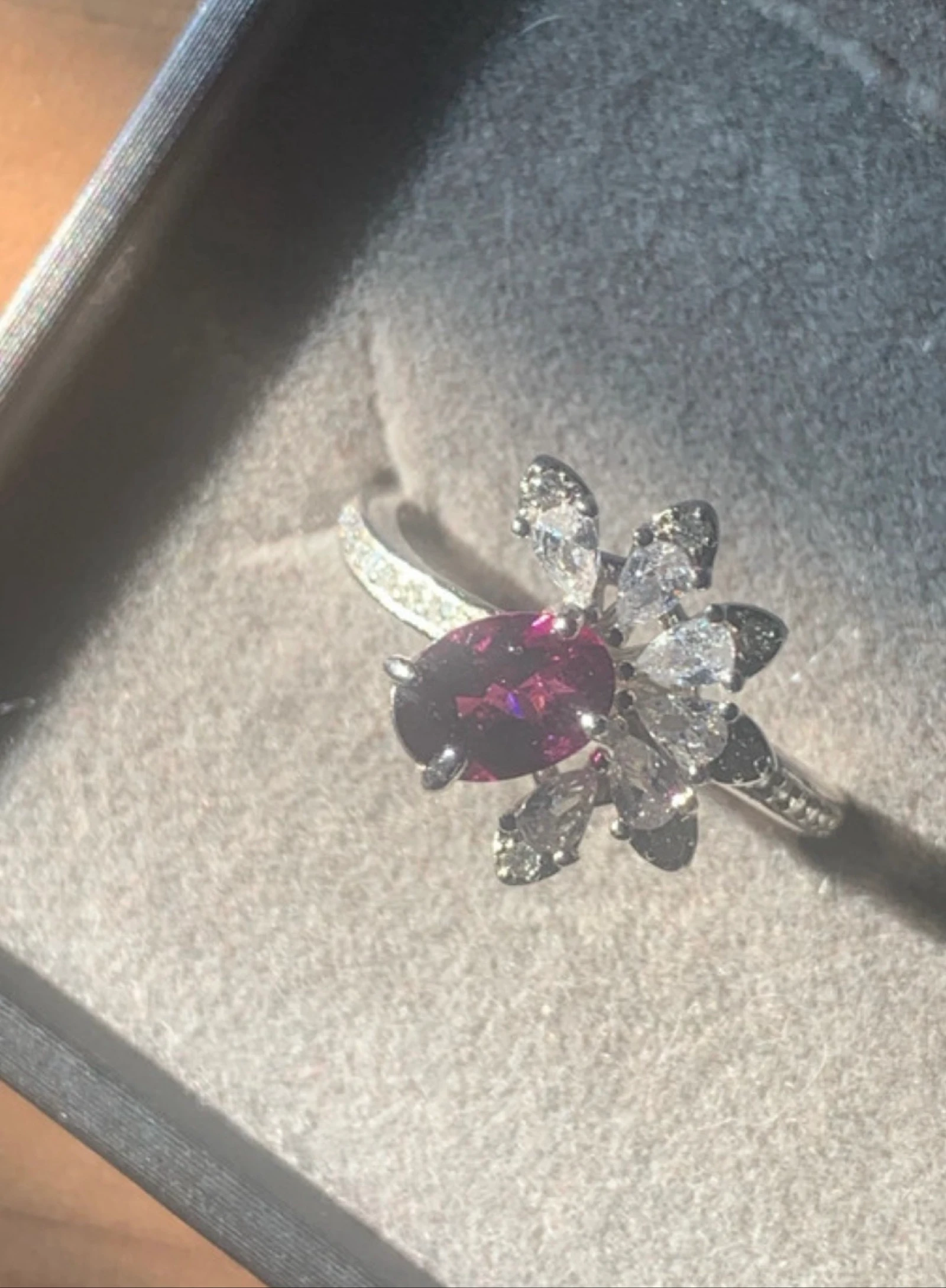 Rodolietring – photo 3